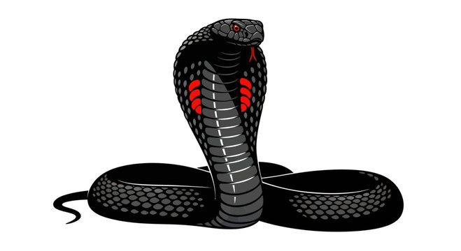Black Cobra Snake Illustration, Threatening Pose, Isolated on White Background