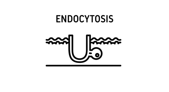Endocytosis Process Icon: Cell Membrane Engulfing Substance
