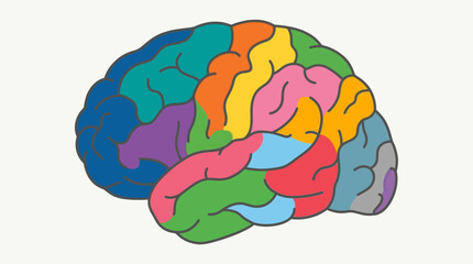 Fototapeta premium Human Brain Illustration with Colorful Lobes Representing Creativity Intelligence and Mental Health