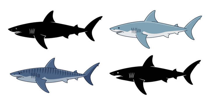 Shark icons, shark illustrations, vector sharks, aquatic animals