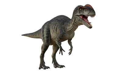 Fototapeta premium A realistic depiction of a large, grey-green predatory dinosaur with an open mouth and a distinctive head crest, standing on a white background.