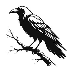 Obraz premium Black raven vector illustration, gothic crow perched on a dead tree branch, dark mystical bird silhouette, hand drawn ink style raven graphic