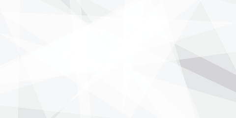 Fototapeta premium Abstract white and gray triangle geometric paper texture design this design are uses for style concept for banner, flyer, card, or brochure cover etc and quality full shape design .
