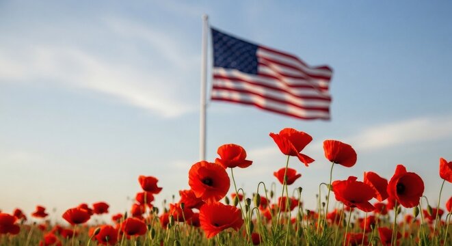 American Flag in Poppy Field Memorial Day