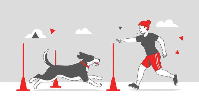 Dog agility training: Woman coaching border collie through obstacle course