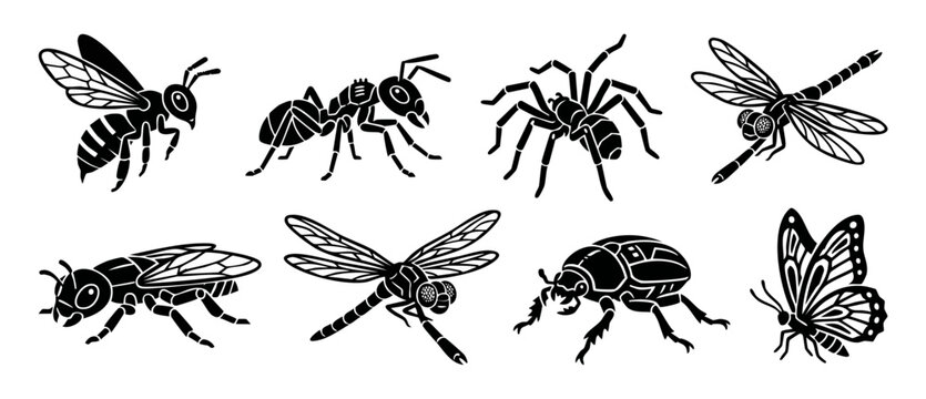 Insect Icons Set Black Silhouette Collection Featuring Bee Ant Spider Dragonfly Beetle and Butterfly Isolated Graphics for Vector Design Projects, Educational Materials and Wildlife Illustration Eleme