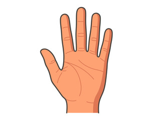 Fototapeta premium Human Palm Open Hand Illustration - High Five, Stop Gesture, or Five Fingers Vector Graphic