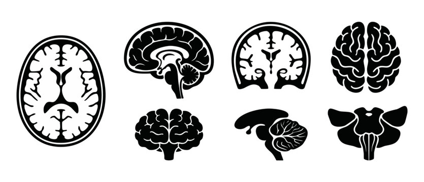 Human Brain Anatomy Icons Set, Medical Neurology Cross Section Diagrams, Scientific Brain Structures Collection in Minimalist Black and White Vector Silhouette Style for Educational and Clinical Resea