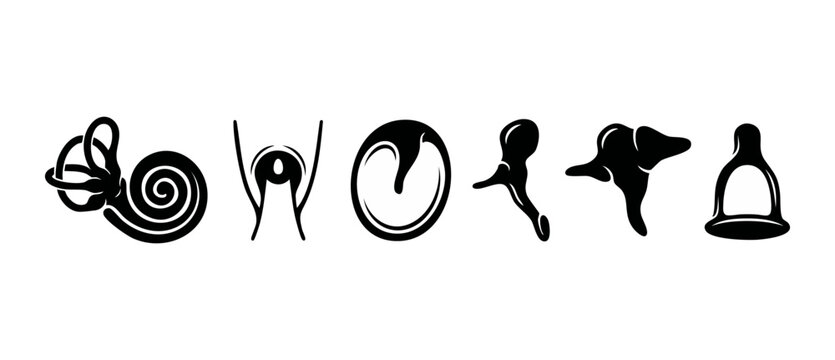 Human Inner Ear Anatomy Icons Set - Cochlea Malleus Incus Stapes Structure Diagram - Medical Otology Symbol Collection for Audiology ENT Healthcare Clinic Illustration Isolated on White Background Vec
