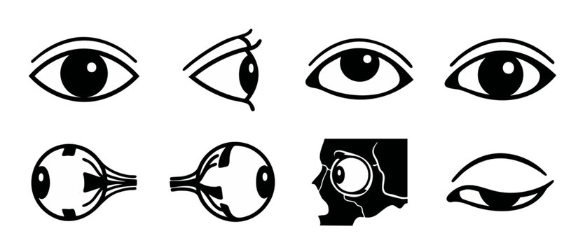 Human Eye Icon Set Vector Illustration, Different Angles and Anatomy Views for Medical Graphics and Optometry Design, Minimalist Black Silhouette Symbols on White Background, ophthalmology collection.