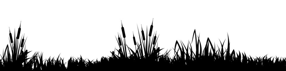 Fototapeta premium Meadow silhouette with grass, plants on plain. Panoramic summer lawn landscape with herbs, various weeds. Herbal border, frame element. Black horizontal banners. Vector illustration