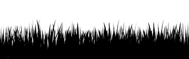 Fototapeta premium Meadow silhouette with grass, plants on plain. Panoramic summer lawn landscape with herbs, various weeds. Herbal border, frame element. Black horizontal banners. Vector illustration