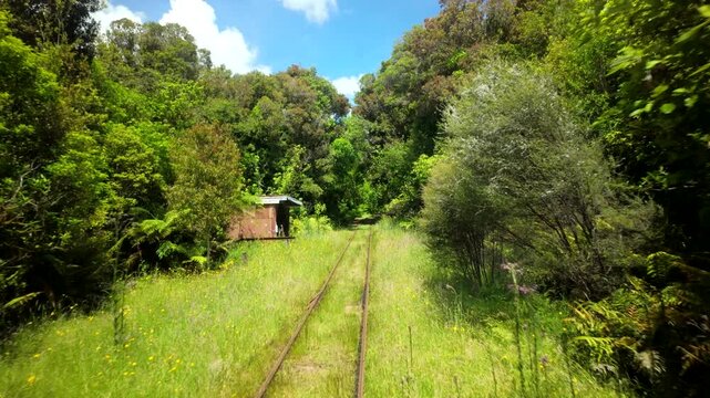 Front View From Moving Train Across Green Railway