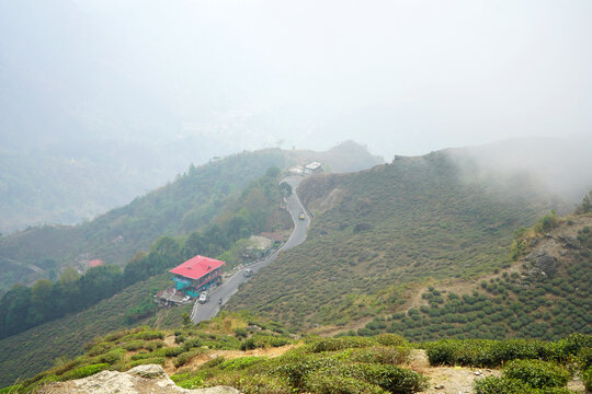 Winding mountain road through lush tea garden in misty hills at Kurseong