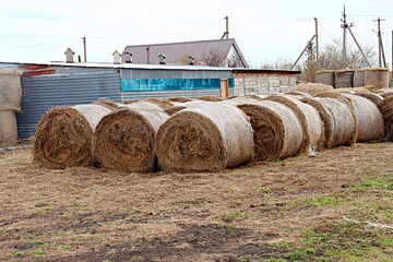 hay bales in a field © алекксандр semushkin
