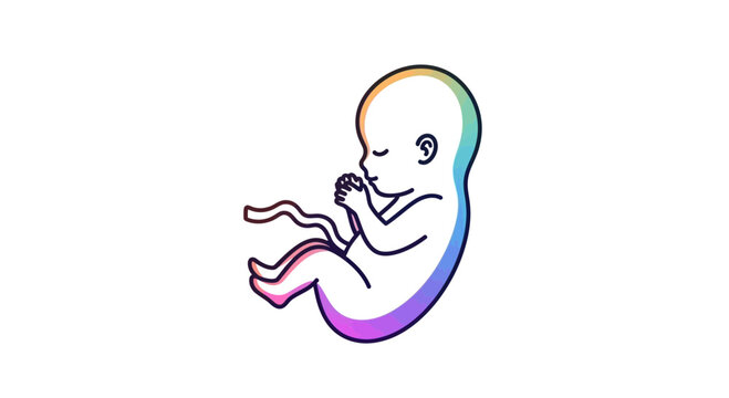 Fetus development, human embryo, colorful, stylized, medical, science, life, growth, pregnancy