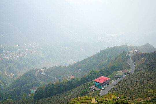 Scenic winding mountain road passing through lush tea gardens in misty Himalayan hills at Kurseong