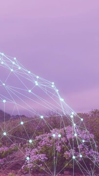 Vertical video: Glowing mesh appearing left, sweeping right and down, pulsing nodes revealing rocks
