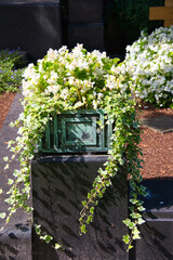 schön bepflanztes Gefäß für Blumen auf einem Friedhof in Köln © Blende8