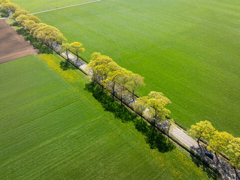 agricultural landscape in spring