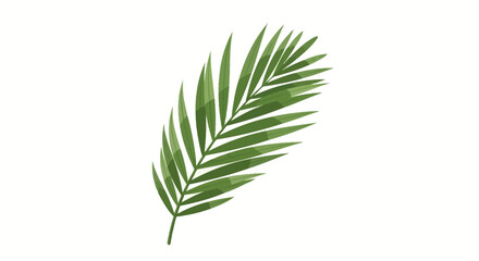 Fototapeta premium Vibrant green majesty palm leaf illustration, exotic tropical foliage design isolated on white background, minimalist flat icon for summer vacation branding and botanical nature projects.