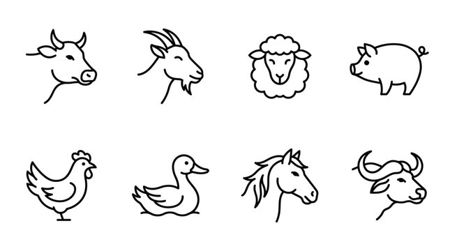 Farm Animal Icons: Cow, Goat, Sheep, Pig, Chicken, Duck, Horse, Buffalo Line Art Set
