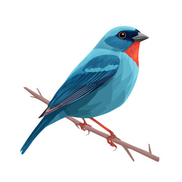 Tweedia, 2D flat vector illustration in icon style, isolated on a white background