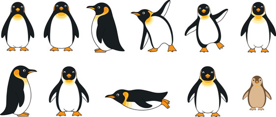 Cute penguin collection cartoon arctic birds set vector illustration adorable winter wildlife characters for kids and nature design © Prodip