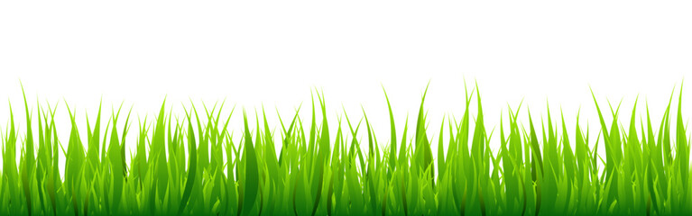 Fototapeta premium Meadow silhouette with green grass, plants on plain. Panoramic summer lawn landscape with herbs, various weeds. Herbal border, frame element. Black horizontal banners. Vector illustration