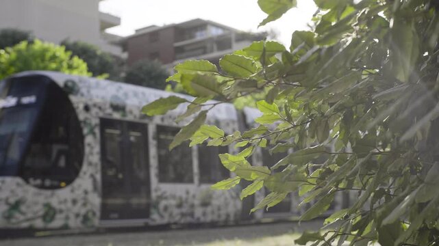 Eco-friendly tramway passing through lush green urban park with flowers