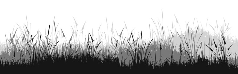 Fototapeta premium Meadow silhouette with grass, plants on plain. Panoramic summer lawn landscape with herbs, various weeds. Herbal border, frame element. Black horizontal banners. Vector illustration