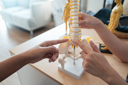 Medical healthcare diagnosis doctor patient consultation spine model table as specialist hand point vertebrae explain back pain concern during appointment clinic classroom setting for education