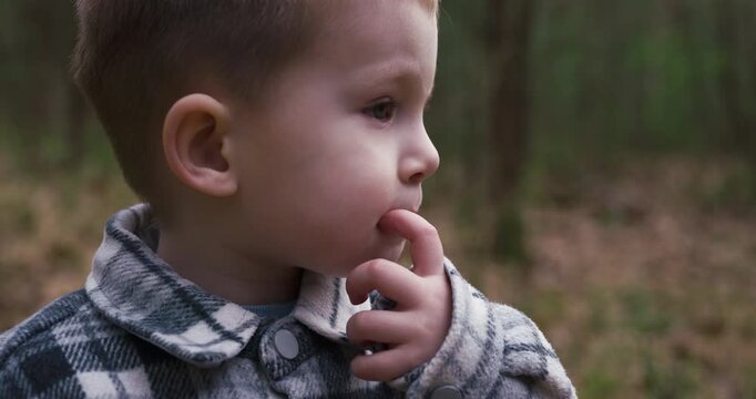 Close-up of a curious little boy looking at the forest with interest