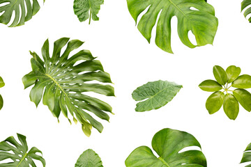 A seamless pattern with different types of green plants across a white background. The plants are arranged in a way that creates a uniform look, suitable for many applications © Creative_Bird