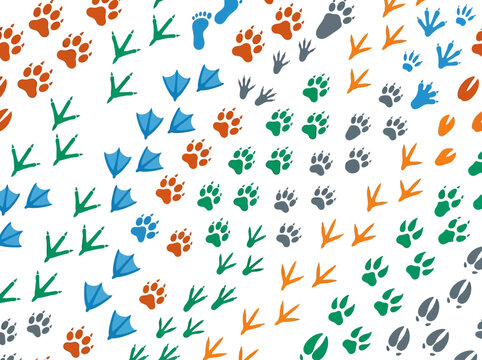 Seamless Pattern of Colorful Animal and Bird Footprints on White Background - Various Wildlife Tracks, Paw Prints, and Bird Steps
