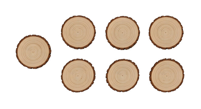 seven circular wooden tree cross sections with bark rings texture on white background