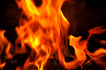 Fototapeta premium Fire flames on black background.