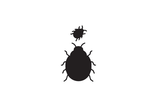 Black beetle icons, insect silhouettes, bug graphics, vector bugs
