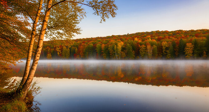 Vibrant autumn foliage reflects on a calm lake with morning mist. Golden birch trees frame a peaceful landscape at dawn. Serene nature background, perfect for seasonal travel and wellness marketing.