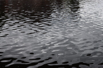 Gentle ripples on river water © Francesca Leslie