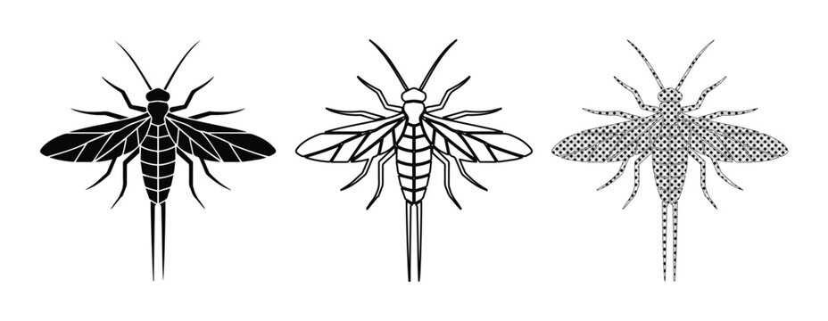 Vintage mayfly insect vector set, black and white fly fishing lure illustrations, detailed biological bug sketches for nature education