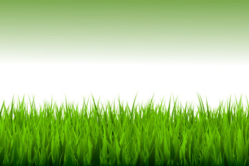 Fototapeta premium Green Grass Border Vector with Lawn, Meadow and Natural Garden Landscape Elements