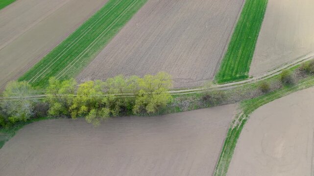 aerial farmland boundary curve top view for land division concept with contrasting green and brown fields