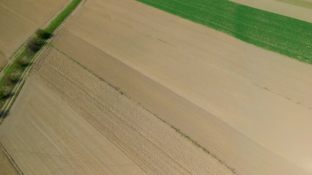 aerial farmland long stripes overhead for agricultural texture background with parallel field lines and soil detail