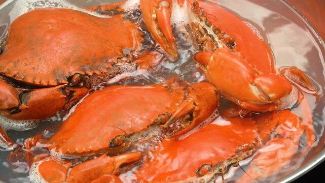 Close-up of fresh Vietnamese sea crabs turning bright red while boiling in a steaming pot of water.