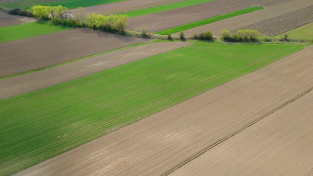 aerial farmland green strips overhead for agriculture texture background with cultivated rows and field patterns