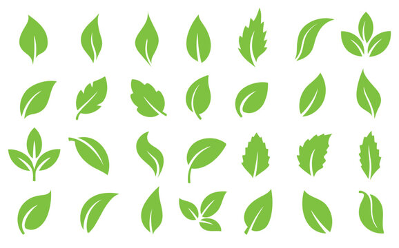 Clean minimalist leaf icon set design