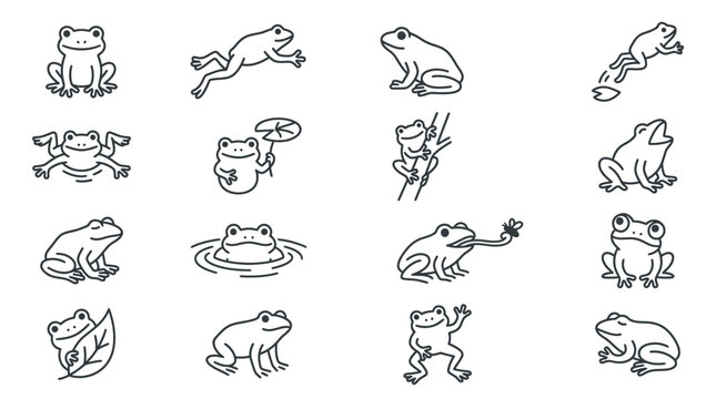 Collection of various frog illustrations.