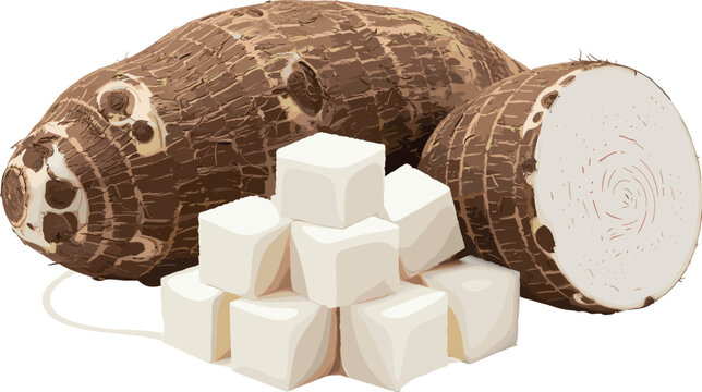 Fresh taro root and diced cubes isolated vector illustration tropical root vegetable food ingredient for cooking and healthy nutrition design