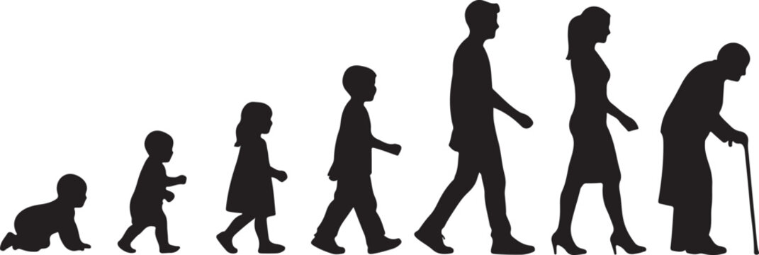 Silhouettes illustrating the human life cycle from infancy to old age, walking in progression, symbolizing growth, aging, and the passage of time.